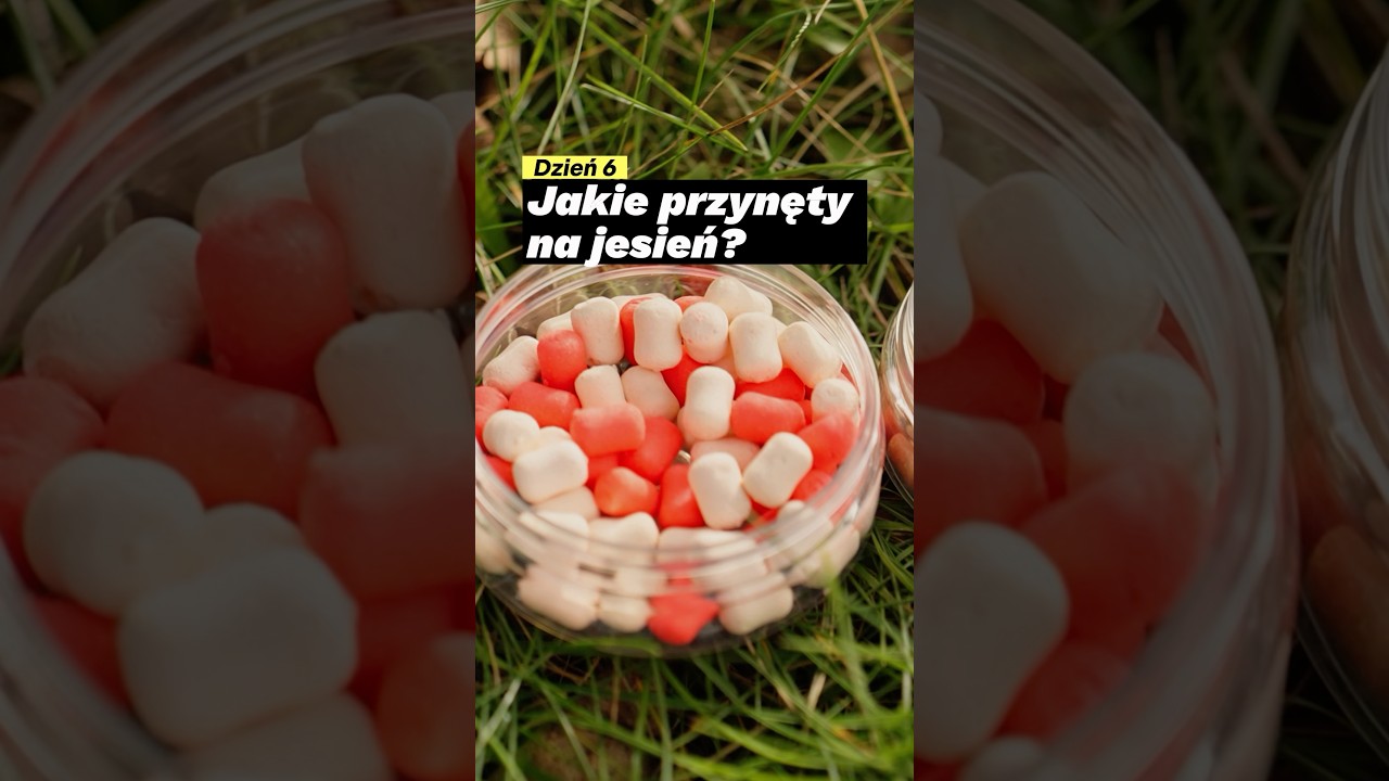 Jakie przynęty stosować jesienią na Method Feeder?
