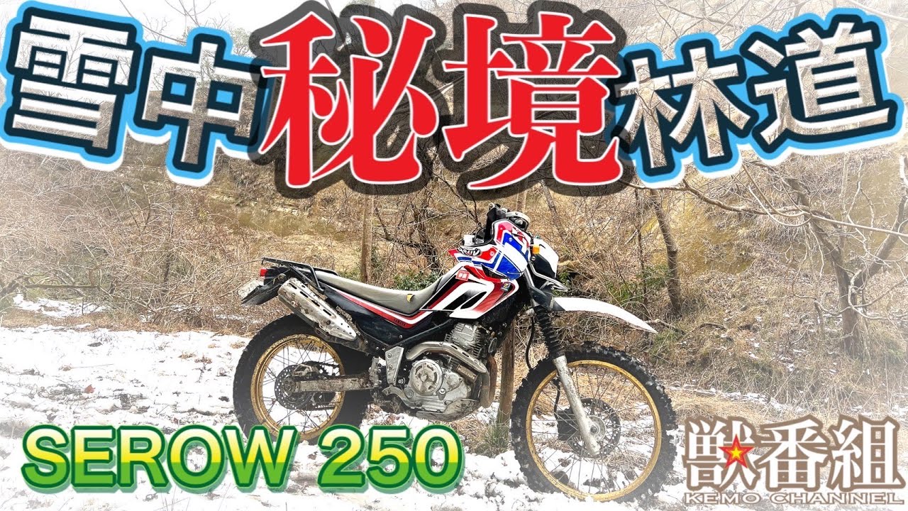 セロー２５０で行く秘境林道　SEROW250