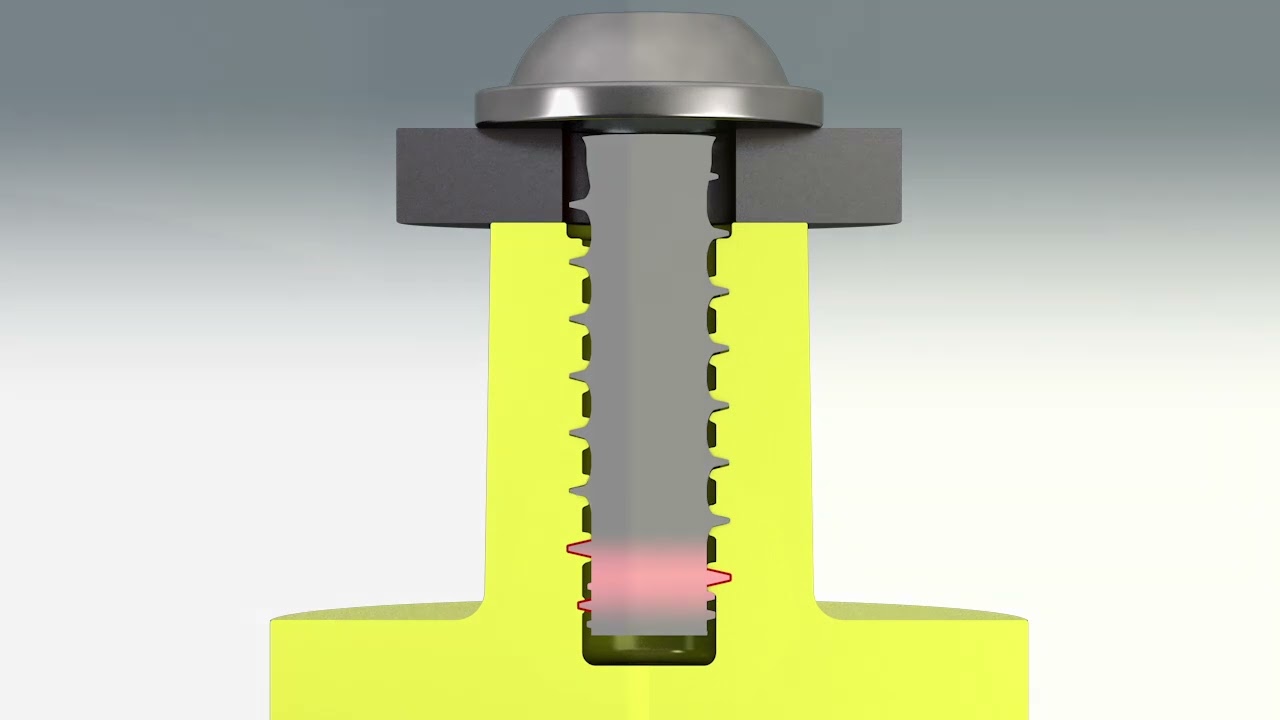 EVO PT® Product Animation