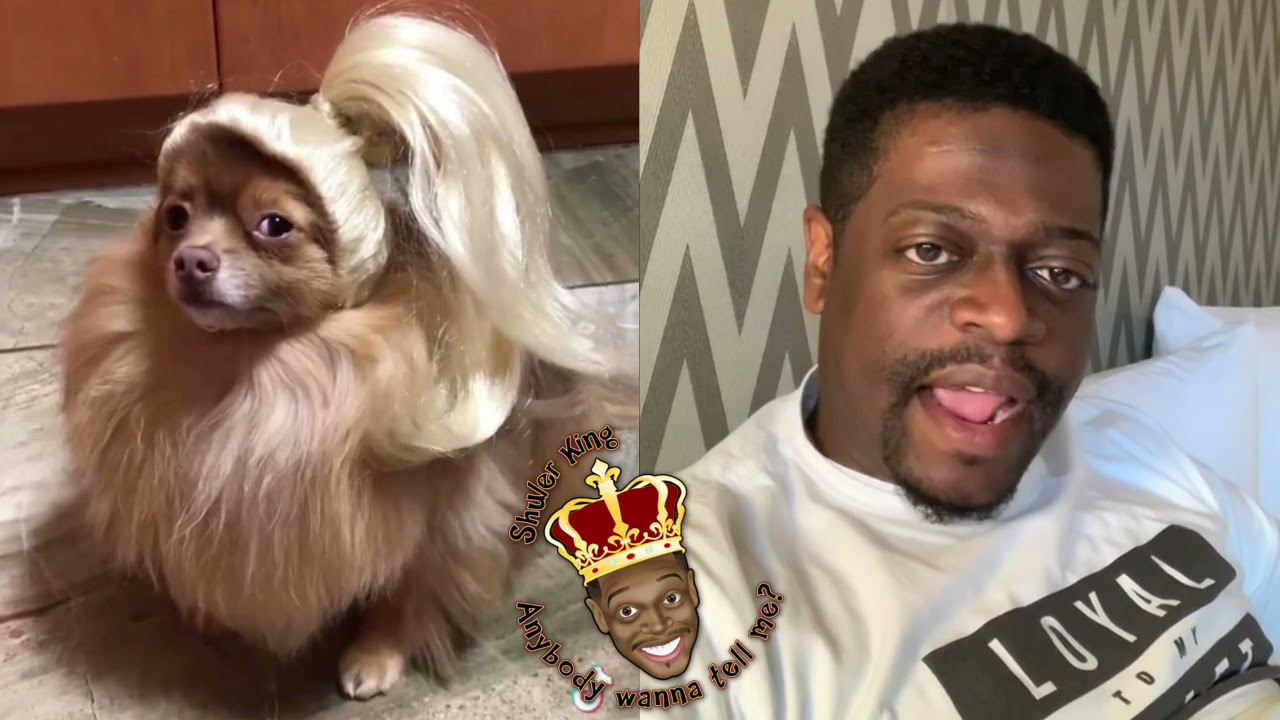 Shuler King - Who Did This To The Dog?