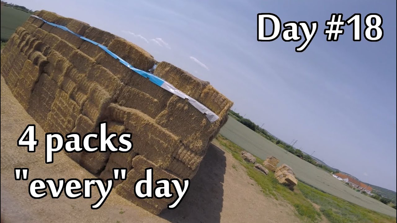 [4 PACKS / DAY] Day #18 - Hay stacks