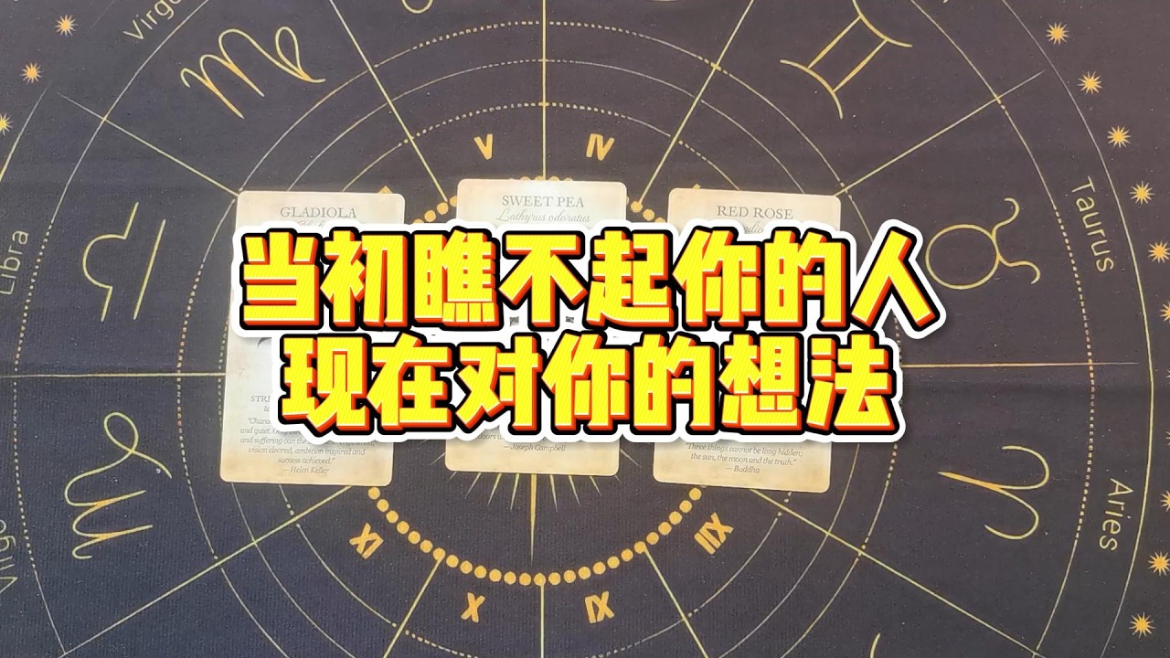 【塔羅牌占卜】当初瞧不起你的人，现在对你的想法