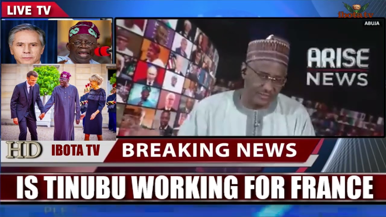 Tinubu's Primary Responsibility Is To Nigerians Not ECOWAS