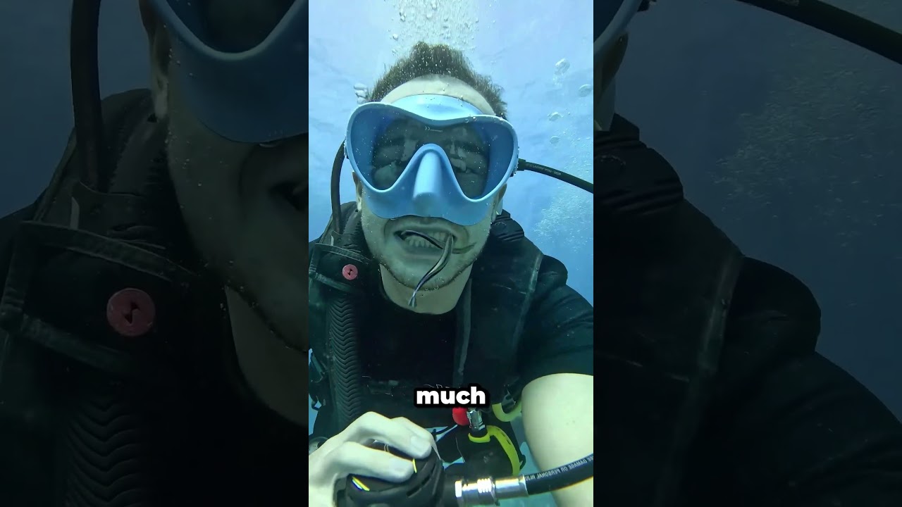 This fish cleans sharks' teeth!