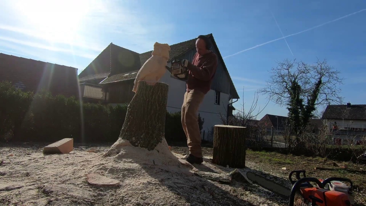 Vom Stamm zum UHU - Eule mit der Kettens&auml;ge in Stamm schnitzen