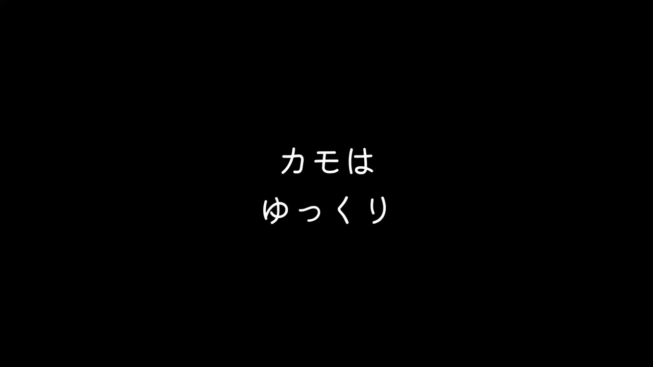 フル「Distance Duck」　迷走中。世界共通のメッセージ「車間距離を空けて走ろう」を多言語で歌にしてみました。カモは言葉の意味はわかってません。