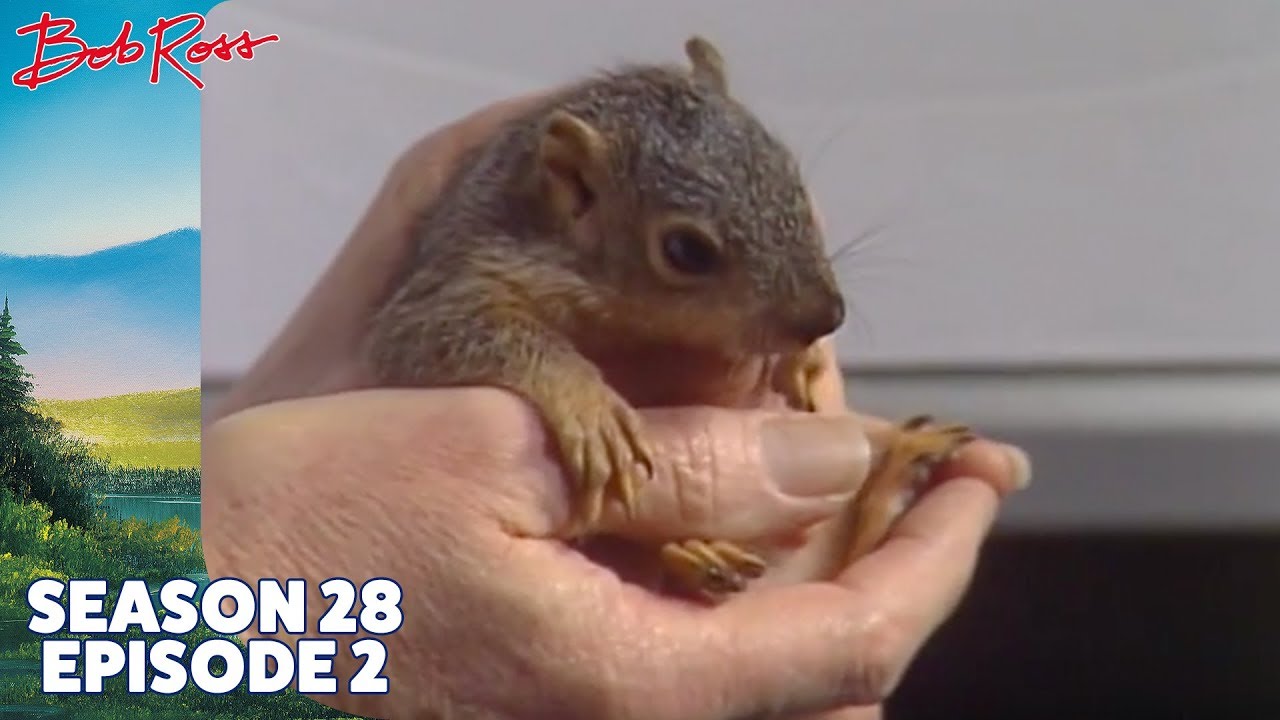 Bob Ross - A Warm Winter (Season 28 Episode 2)