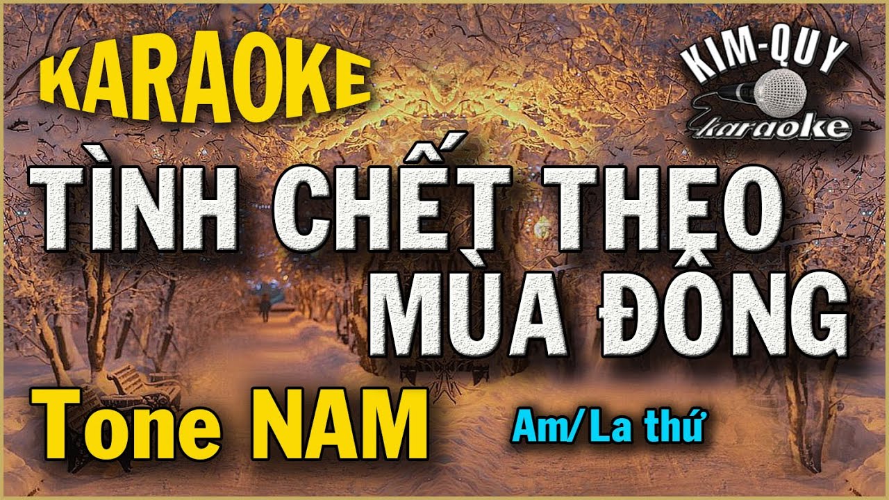 Karaoke TÌNH CHẾT THEO MÙA ĐÔNG (Lam Phương) Slow Ballad - Tone NAM (Am/La Thứ)