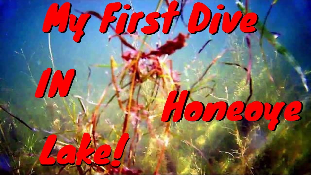 My First Dive In Northern Honeoye Lake NY