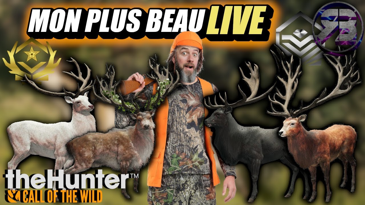 MON PLUS BEAU LIVE THE HUNTER CALL OF THE WILD