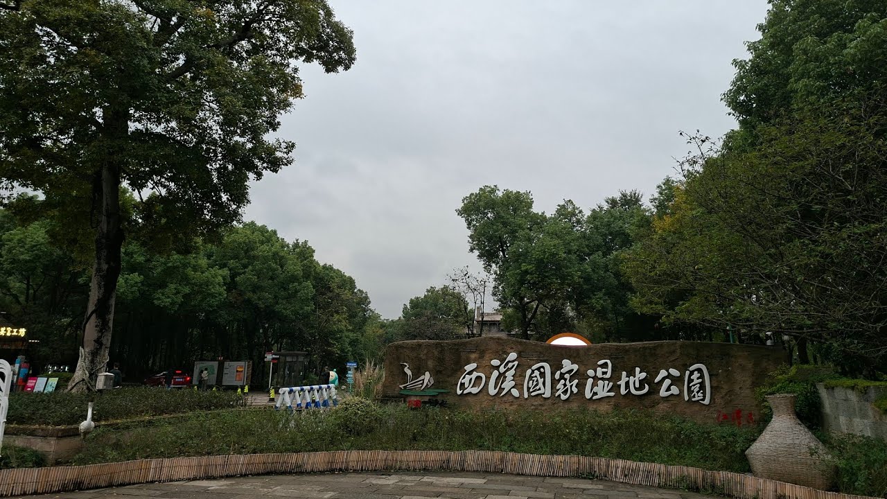秋天的浪漫。從地鐵站走到西溪濕地。杭州#西溪國家濕地公園2025.11.08（六）