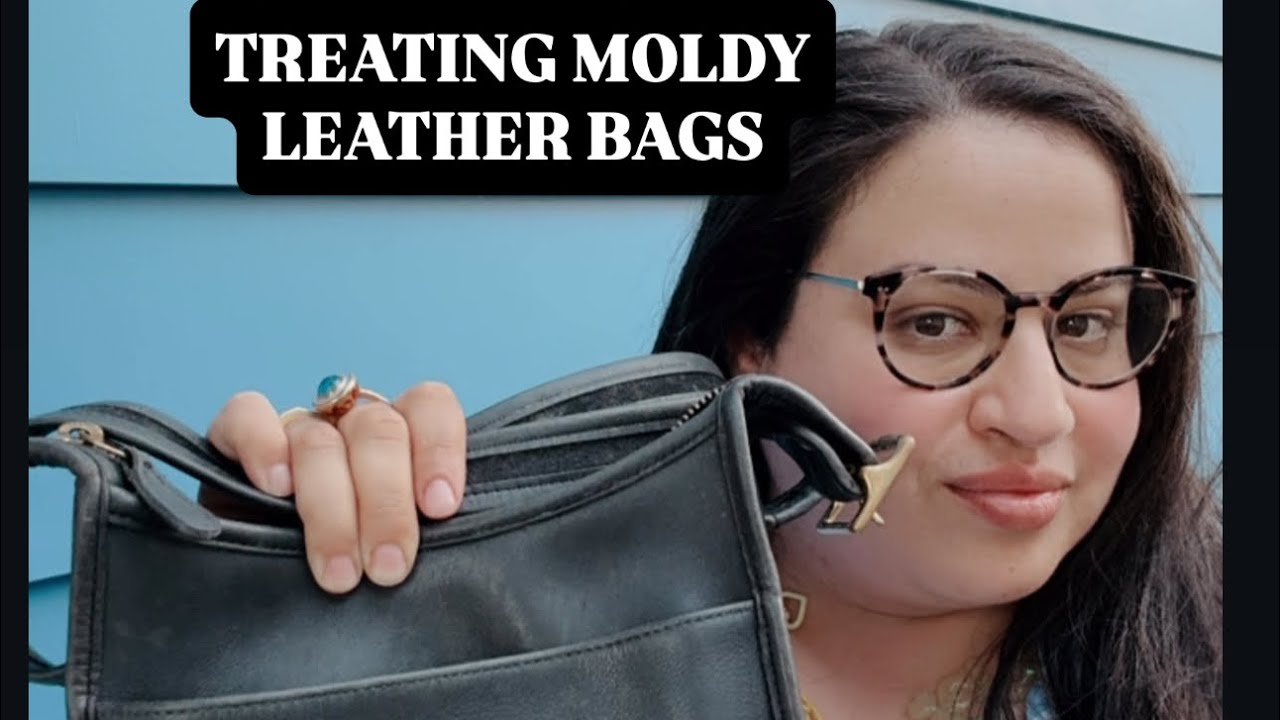 Treating Moldy Leather Bags
