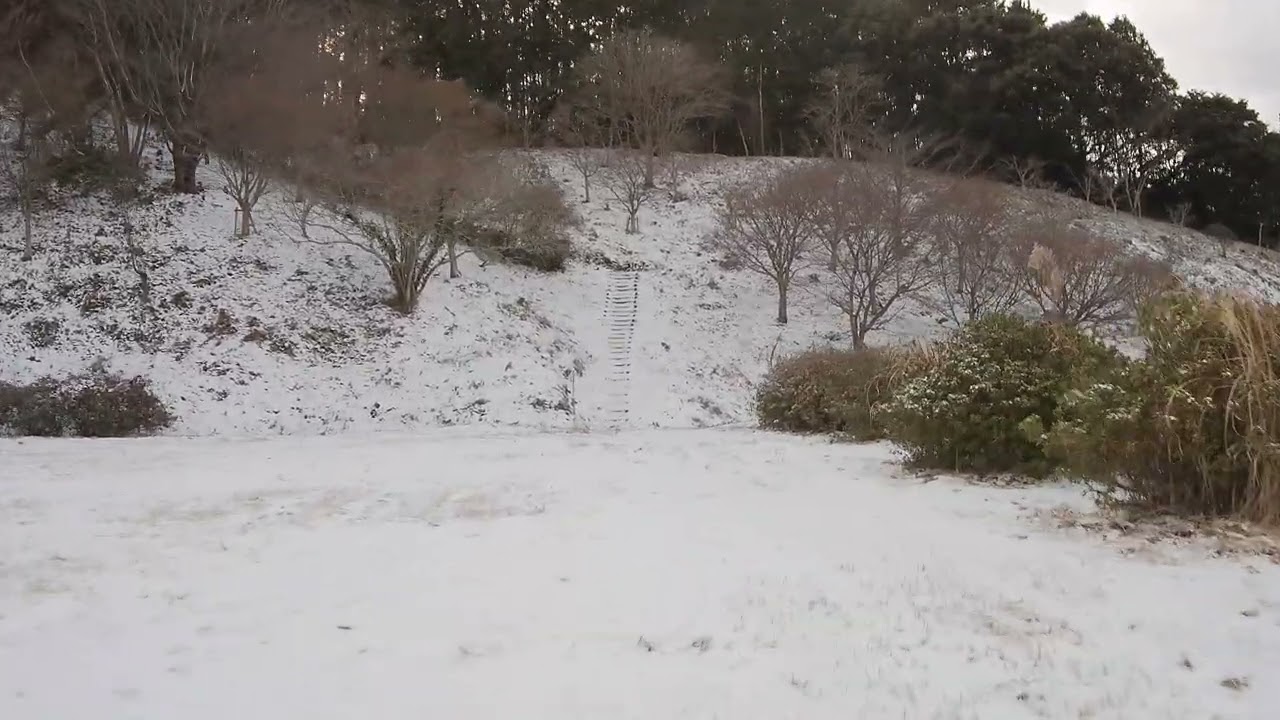雪上の飛行を楽しめました♪
