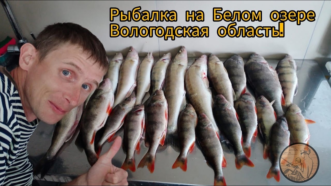 Рыбалка на Белом озере