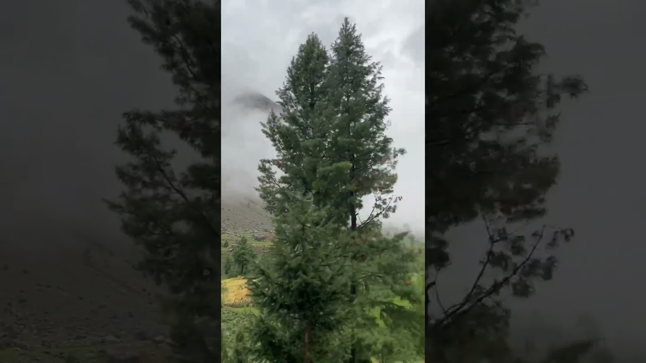 #astorevalley