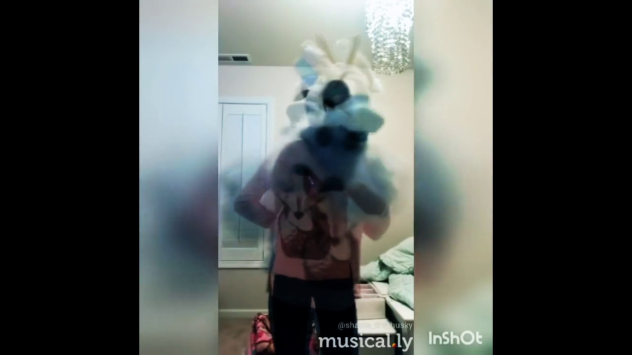furry dancing compilation