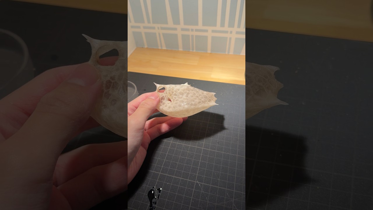ハコフグ標本の作り方