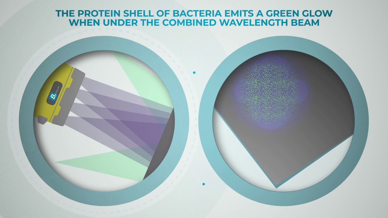 How Bactiscan Works To Effectively Detect Bacteria & Biofilms Fast & At Scale