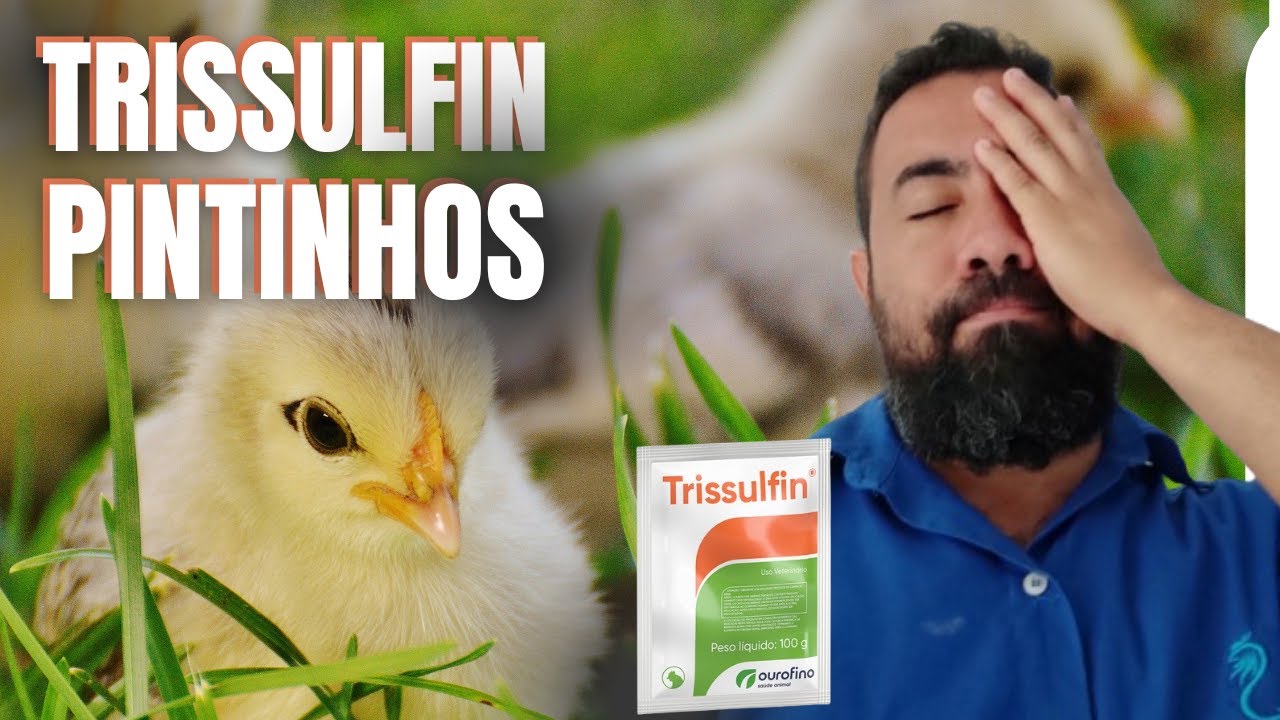 PODE USAR O TRISSUFIN EM PINTINHOS