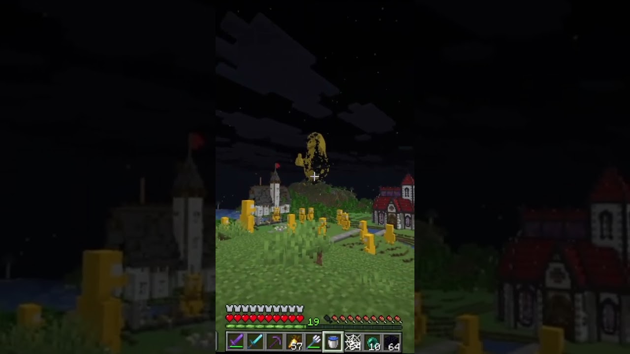 @dranhis reakcja na armię Delm Anarchii SMP3 shot 