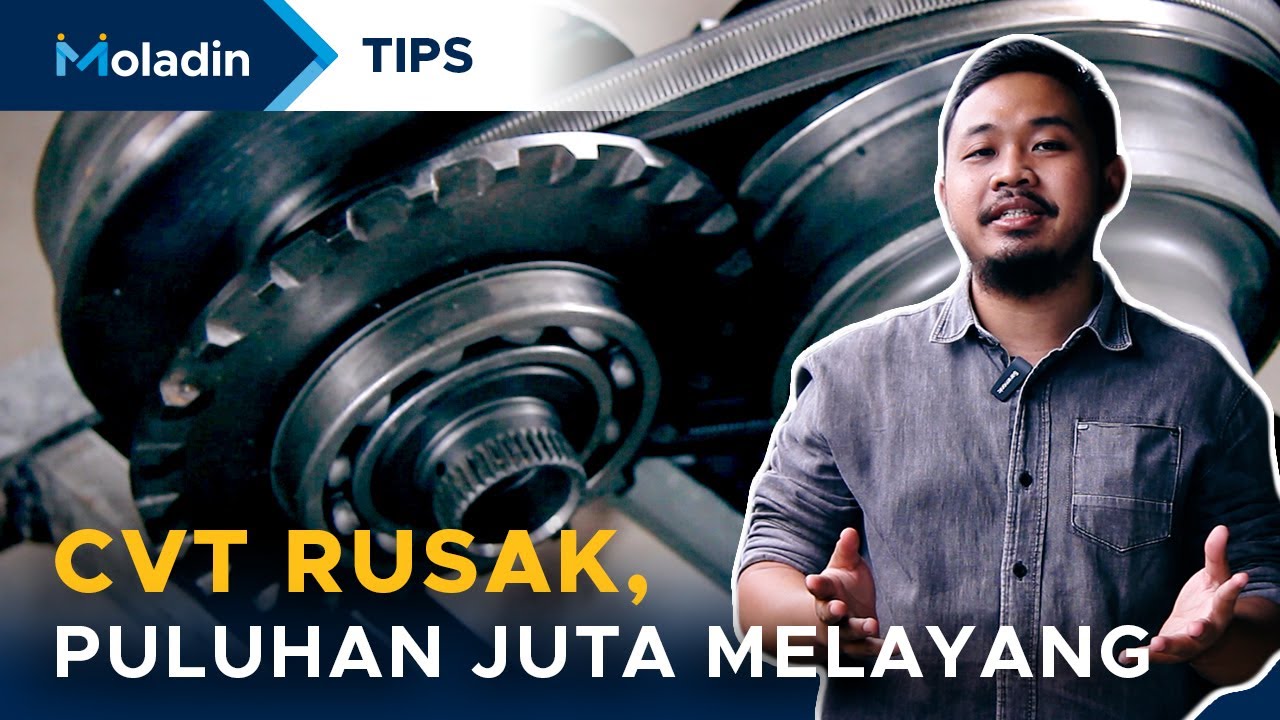 MOBIL CVT GAMPANG RUSAK? | TIPS MOBIL | MOLADIN