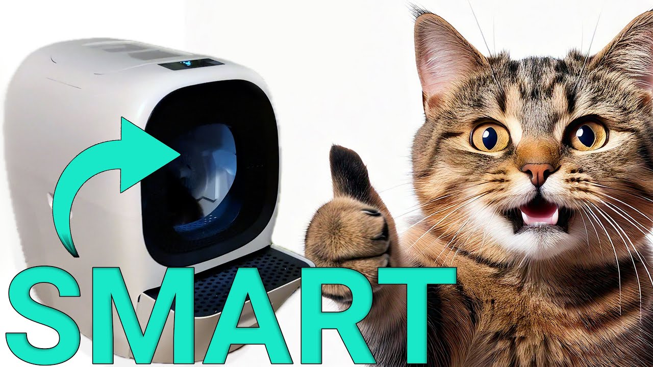 Das smarte Katzenklo, das sich selbst reinigt und auffüllt | Lalahome Real Scooper im Test