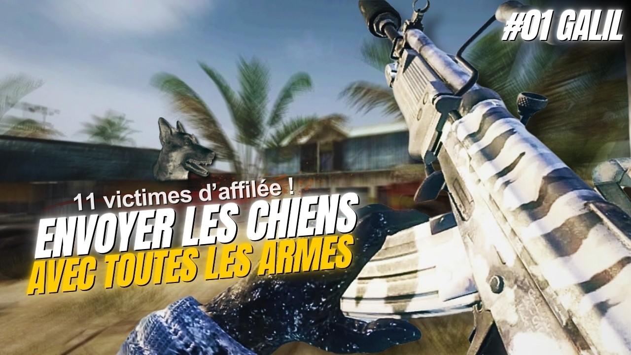 Envoyer les chiens avec TOUTES les armes de Black Ops 1 !