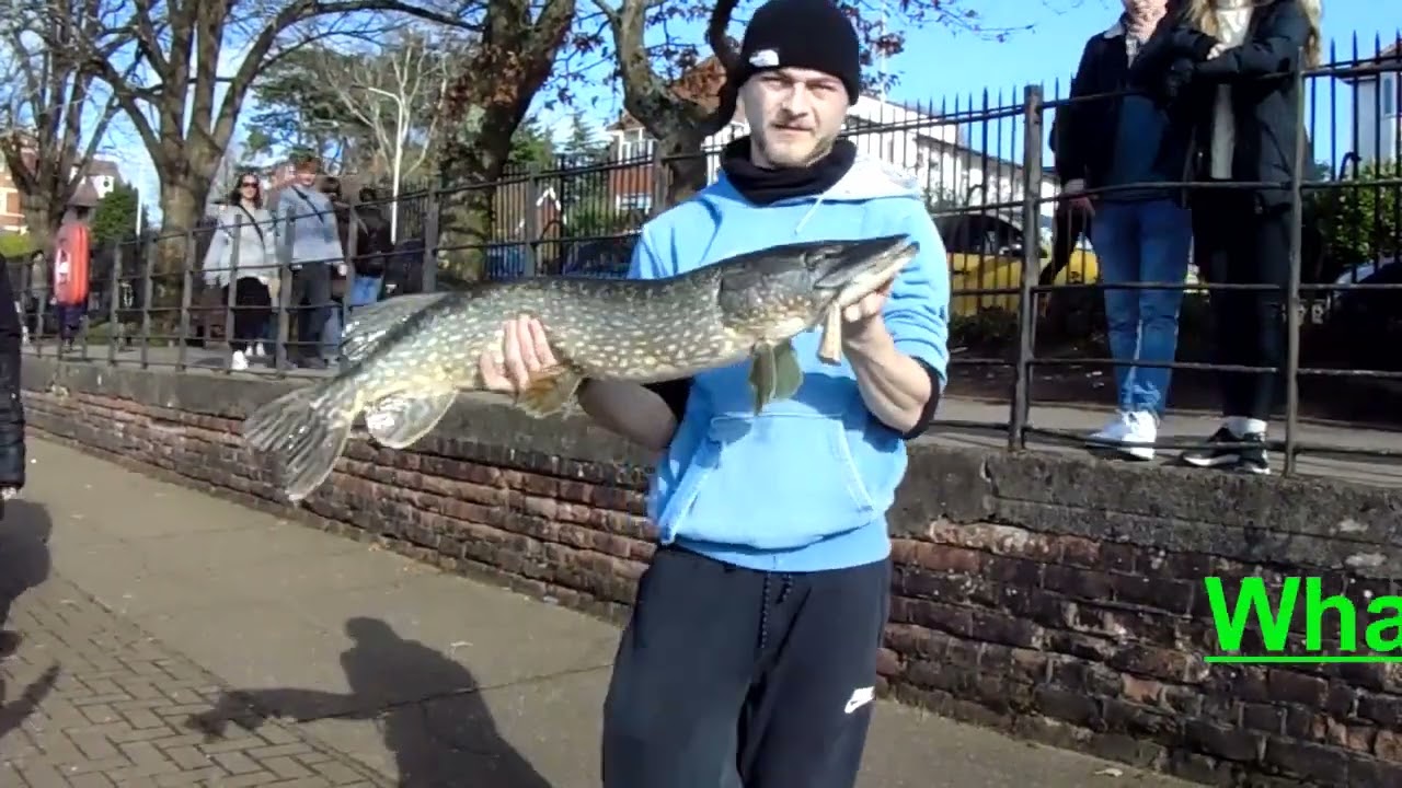 BIG PIKE Caught at Roath Park On a Pink Kids Fishing Rod!
