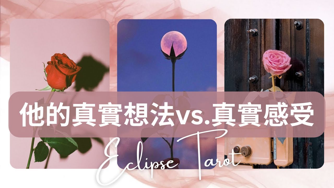 Eclipse塔羅▪️▫️塔羅占卜 他對你以及這段關係的真實想法&真實感受分別是怎樣的💕 他如何看待你和這段關係？他對你有好感嗎？他對這段關係的打算是如何？