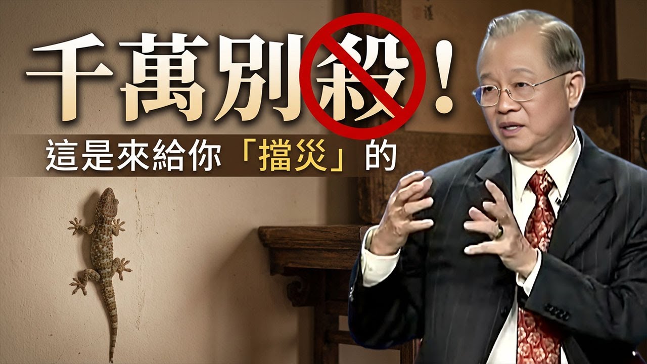 家中出現「壁虎」千萬別趕！它不是普通的蟲子，它是來幫你「擋災守財」的！讀懂這三個天機，你的人生將迎來史無前例的大轉變！#曾仕强 #家中 #壁虎