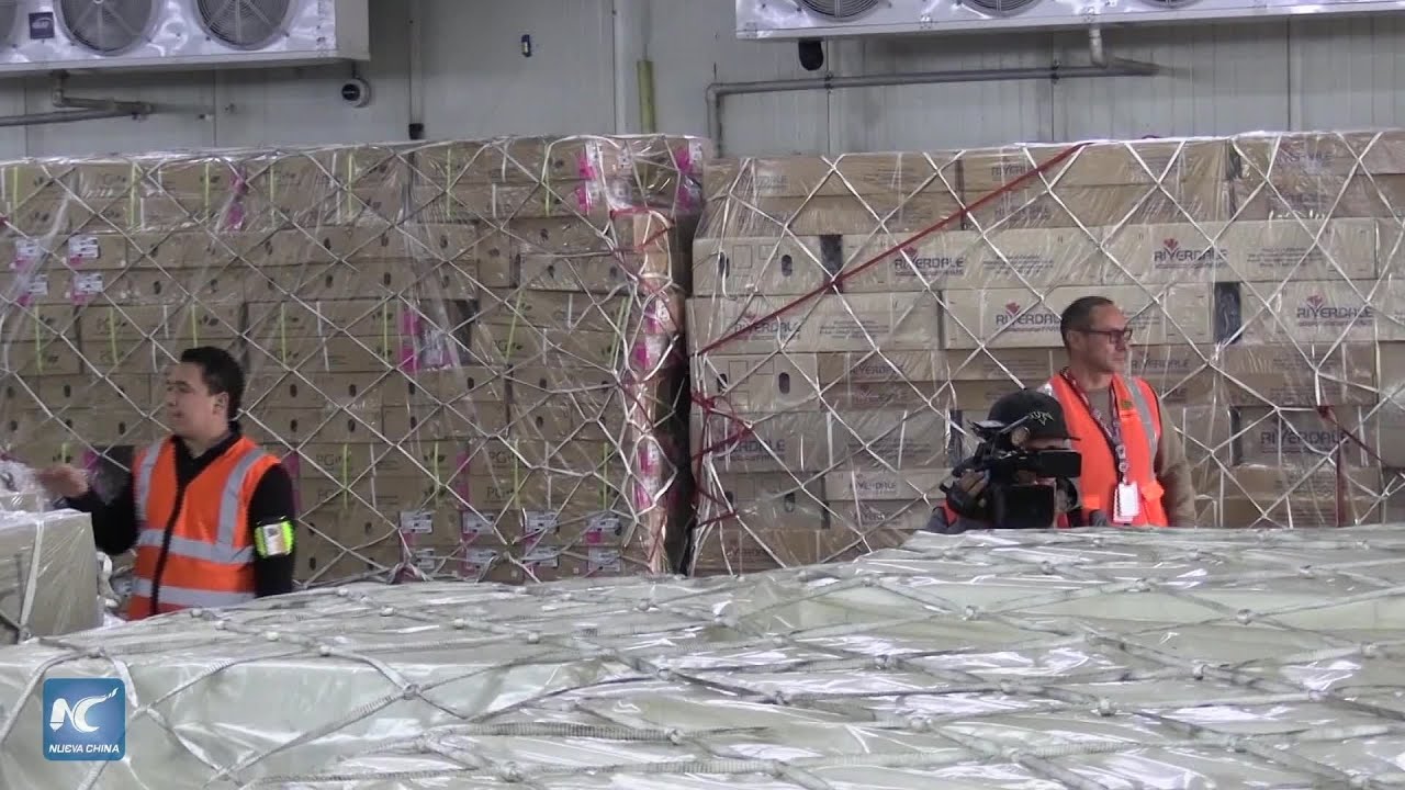 Floricultores colombianos reportan éxito en temporada de San Valentín pese a aranceles de EEUU