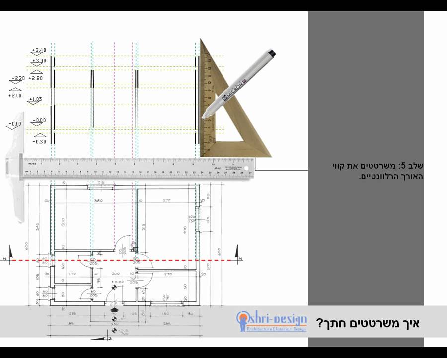 section