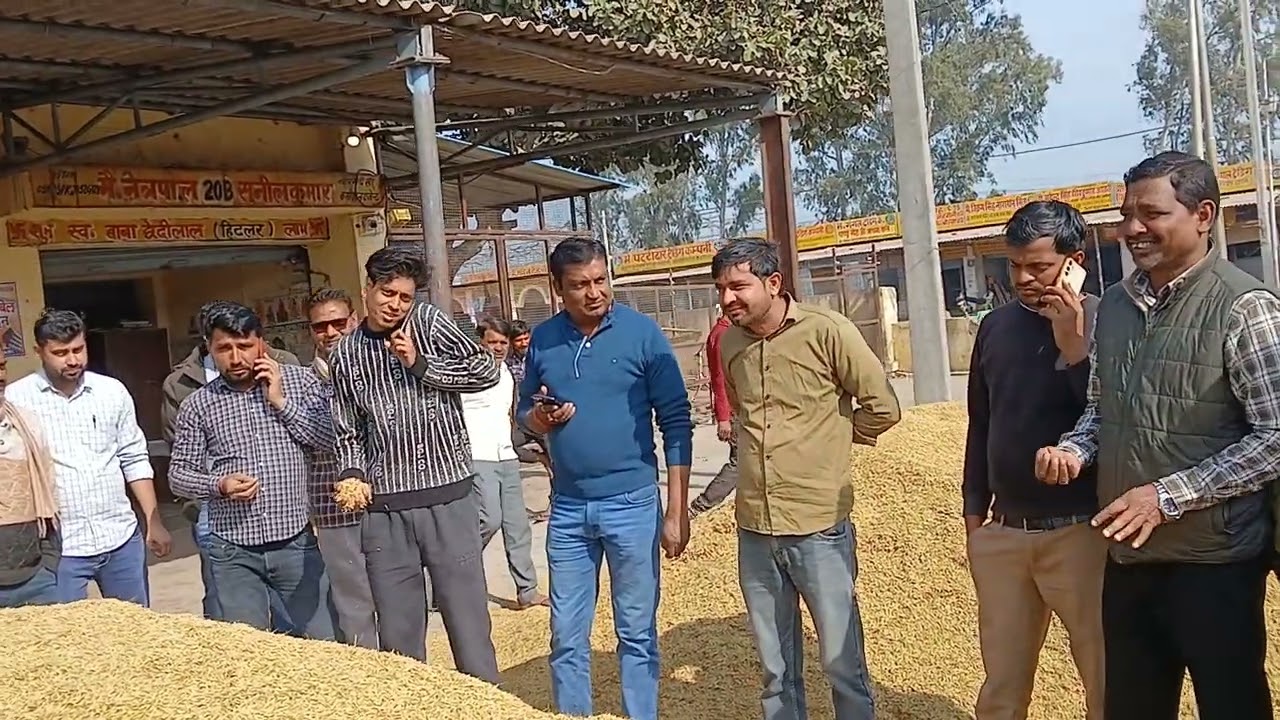 खैर मंडी से Dp और 1885 की बोली 13.2.26. धान में तेजी बरकार 