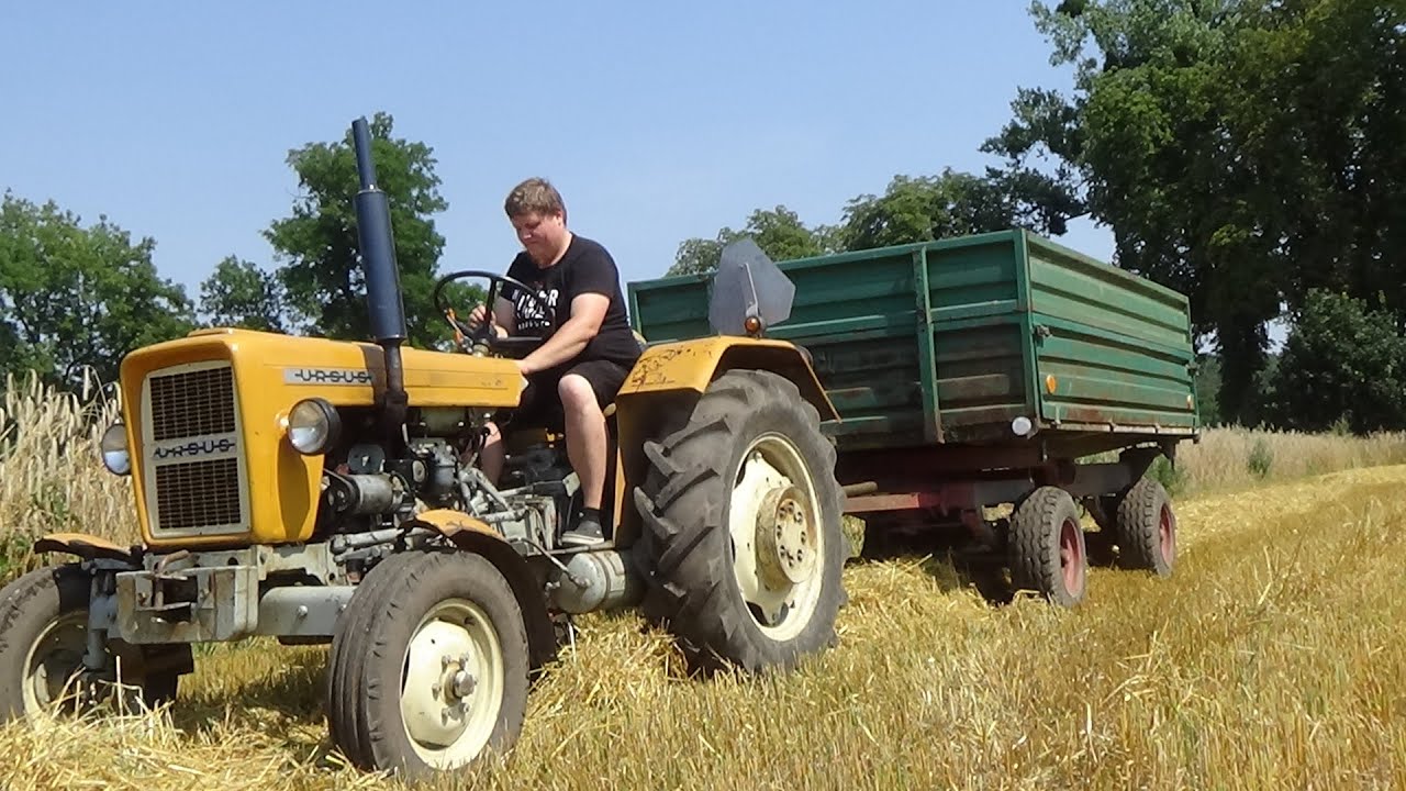 🔥 c-330   VS   Pełna Przyczepa Owsa 🔥 Żniwa 2020 w ZSP Samostrzel 🔥 New Holland & Fortschritt🔥