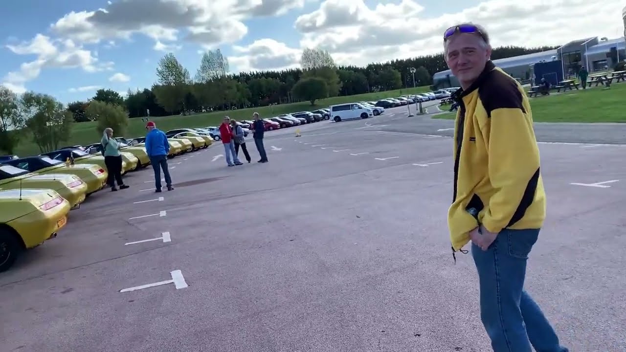 The greatest collection of Zoe (Giallo) Yellow 916 Spiders.