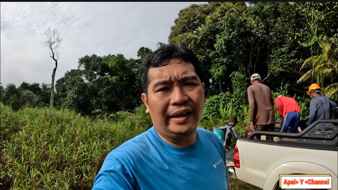 Hari Ke-2 Menebang Pokok Membuka Lahan Sawit//Begitu Susah Mencari Minyak M di Pasar Sri Aman.