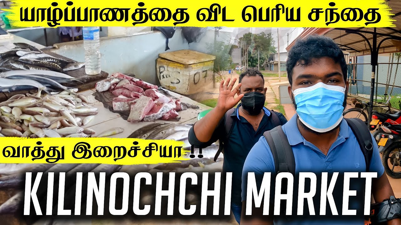 கிளிநொச்சி மீன் சந்தை கிளிநொச்சி மரக்கறி சந்தை 😱😮 Kilinochchi Public Market | Fish Vegetable
