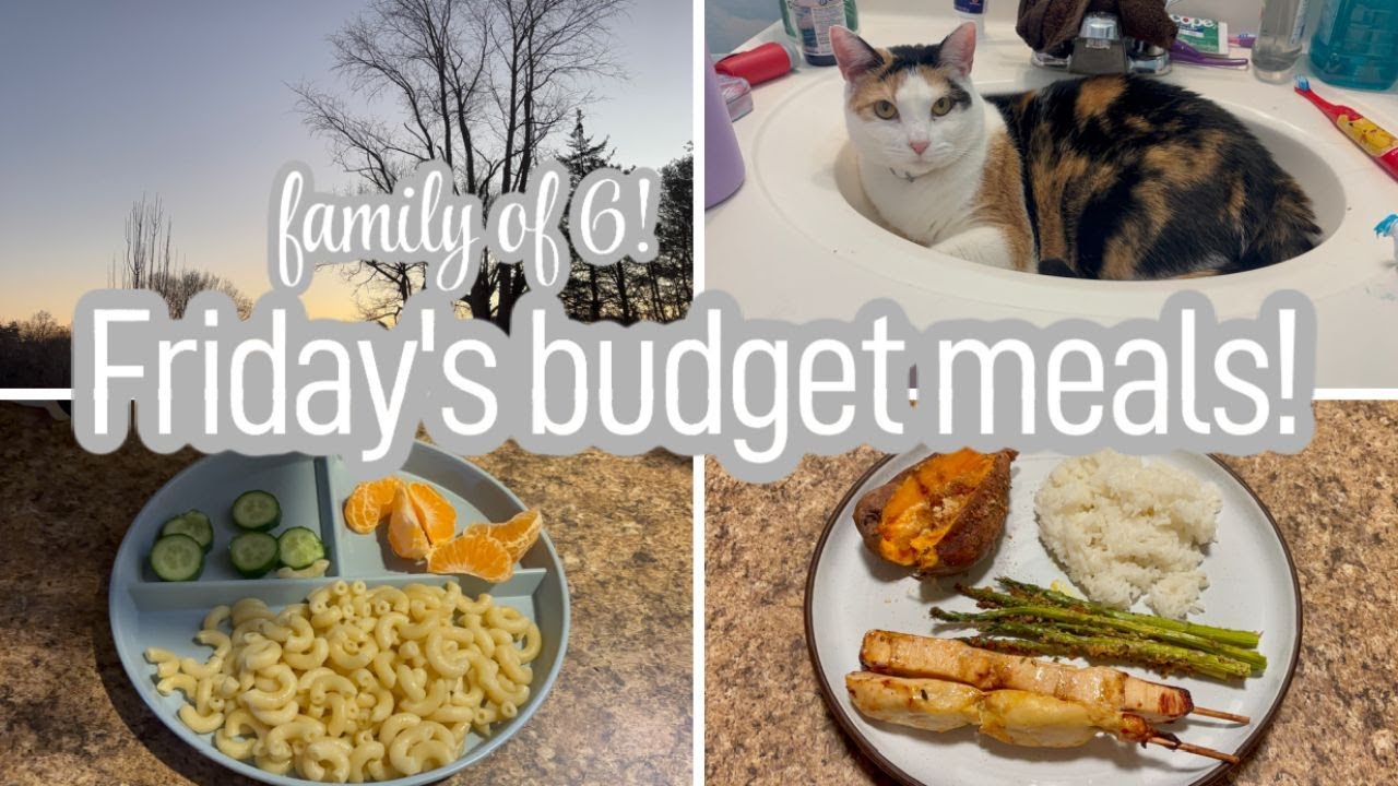 MEALS ON A BUDGET FOR OUR FAMILY OF 6!