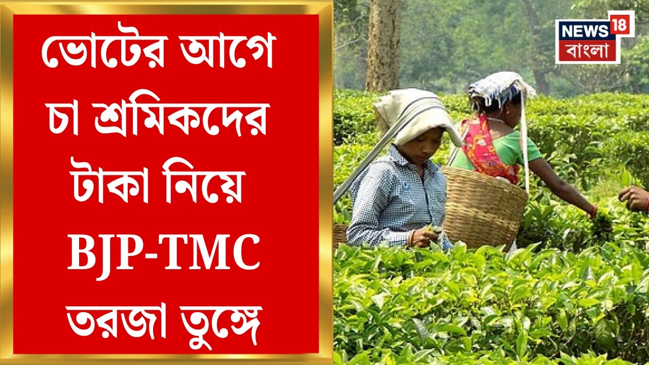 BJP News | চা শ্রমিকদের জন্য কেন্দ্রীয় প্রকল্পের টাকা, দাবি পালটা দাবি TMC-BJP-র | Bangla News