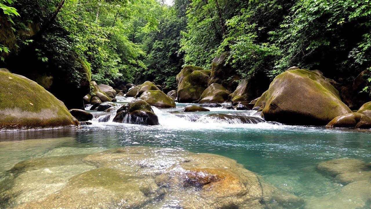 Relaxing River Flow ASMR – Natural Water & Birdsong Sounds to Clear Your Mind, Sleep & Meditation