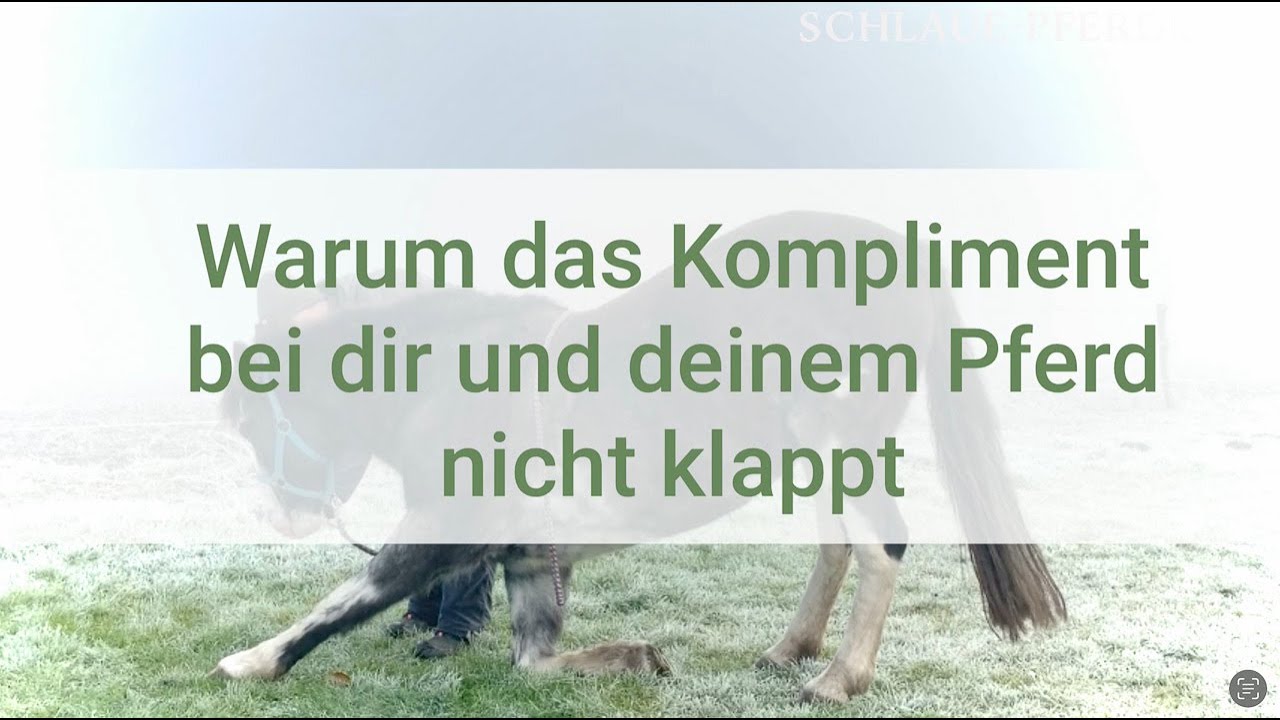 Zirkuslektion Kompliment &ndash; Warum du nicht weiter kommst und wie du es deinem Pferd beibringen kannst