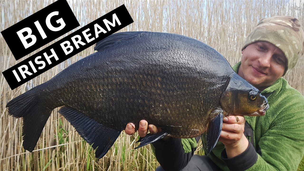 Bream Fishing - Memories of Specimen Bream from a Wild, Irish Lough (2018)