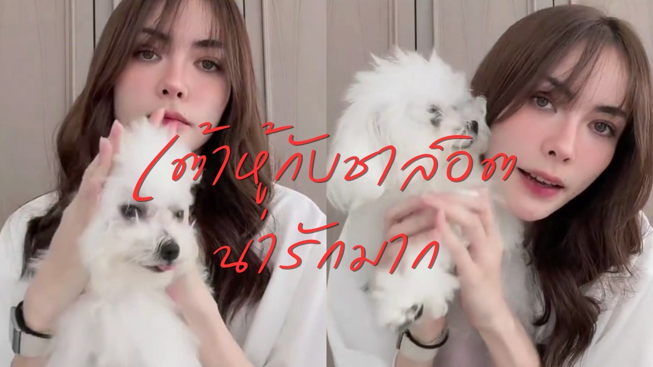 เต้าหู้กับชาล็อตน่ารักมาก (Sub)​ | #ชาล็อตออสติน #charlotteaustin