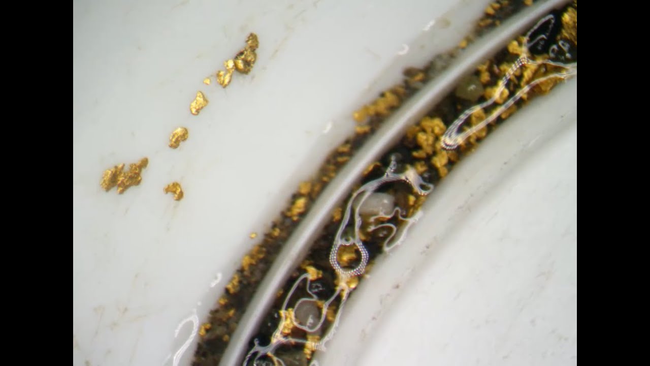 Toroidal Vortex Gold Sluice