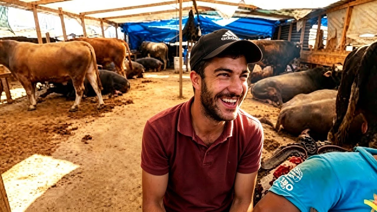 Pazarlığa Doyacaksınız | 2025 Kurbanlık Fiyatları