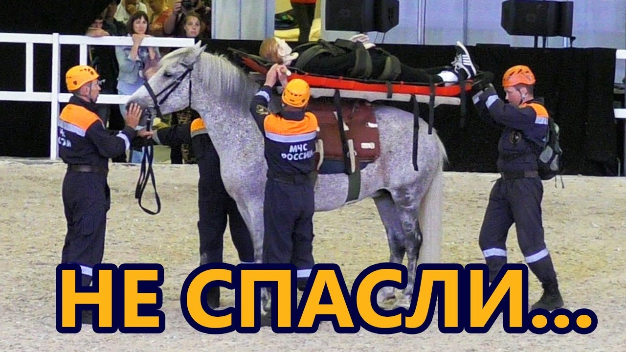 Никто не ожидал ТАКОГО финала спасательной операции #ИППОсфера 2018 #ВыставкаЛошадей /Спасатели #МЧС