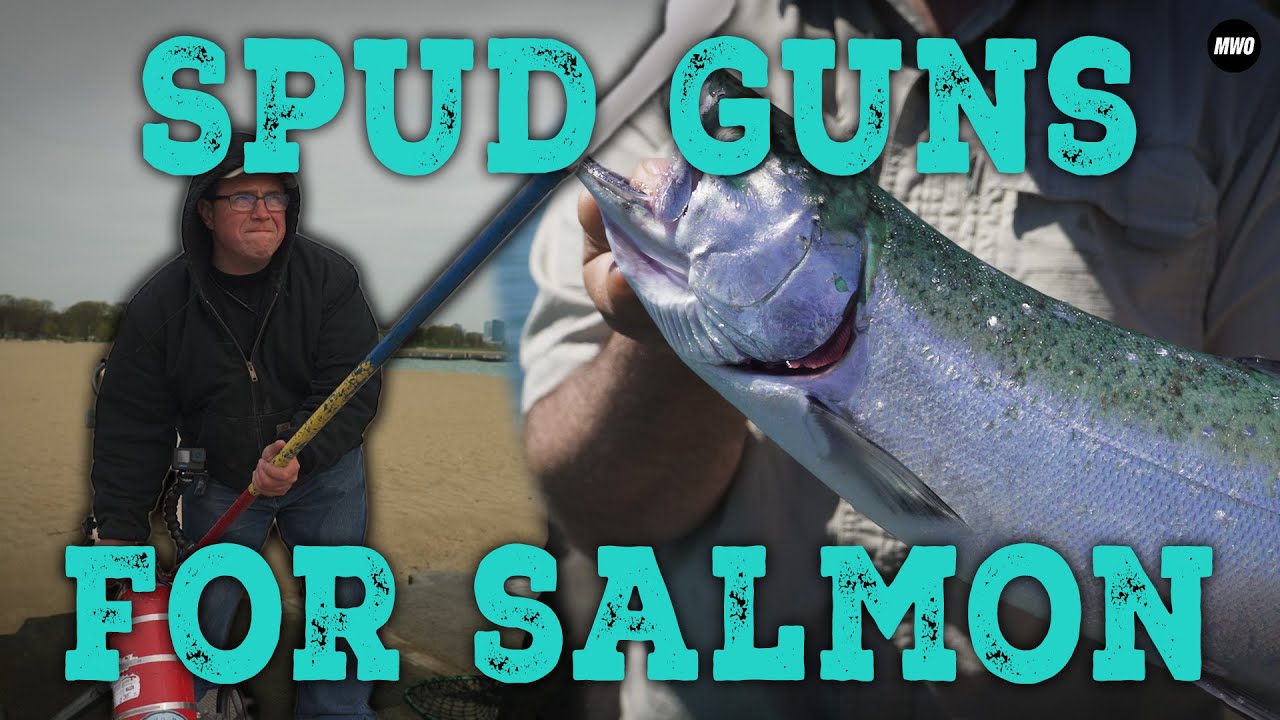 Catching Coho Salmon with a Potato Gun