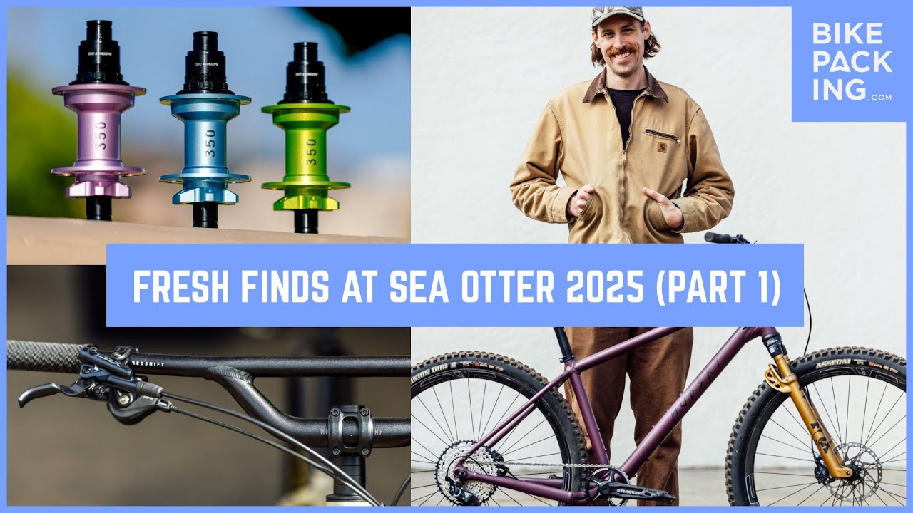 Свежие находки на Sea Otter 2025 (часть 1)