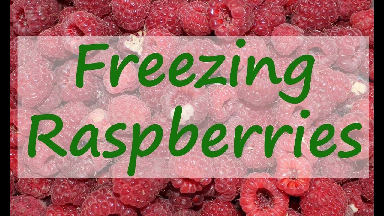 Freezing Raspberries