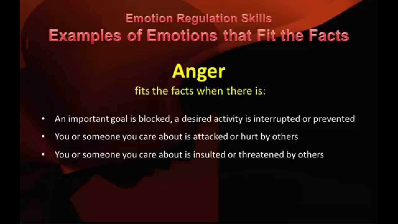 DBT Peer Connections Check the Facts of Emotional Responses